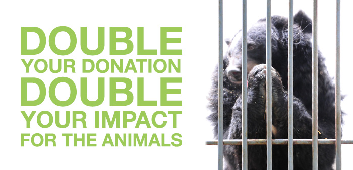 Double Your Impact Double Your Impact